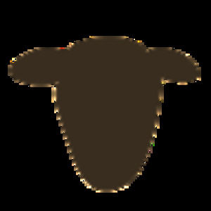 Meet your Posher, Kristin